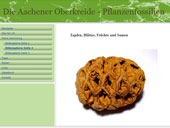 hm-knoll.de Pflanzen aus der Aachener Kreide