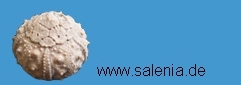Fossiliensammlung von W. Müller http://salenia.de/